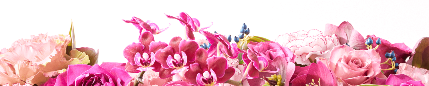 ライブチャット&おーるないと